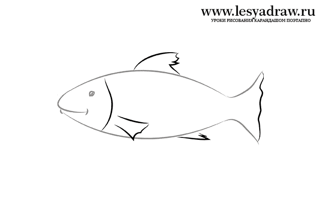 650x400 How To Draw A Small Fish To The Child - Small Fish Drawing