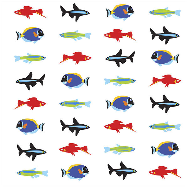 600x600 Small Fish Art Print - Small Fish Drawing