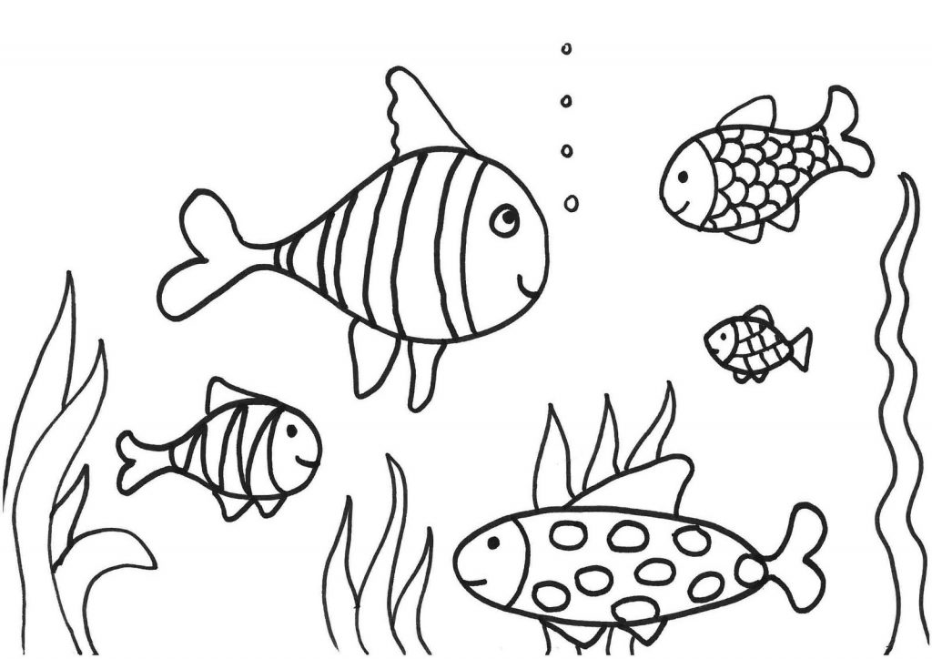 1024x724 Small Fish Coloring Pages - Small Fish Drawing