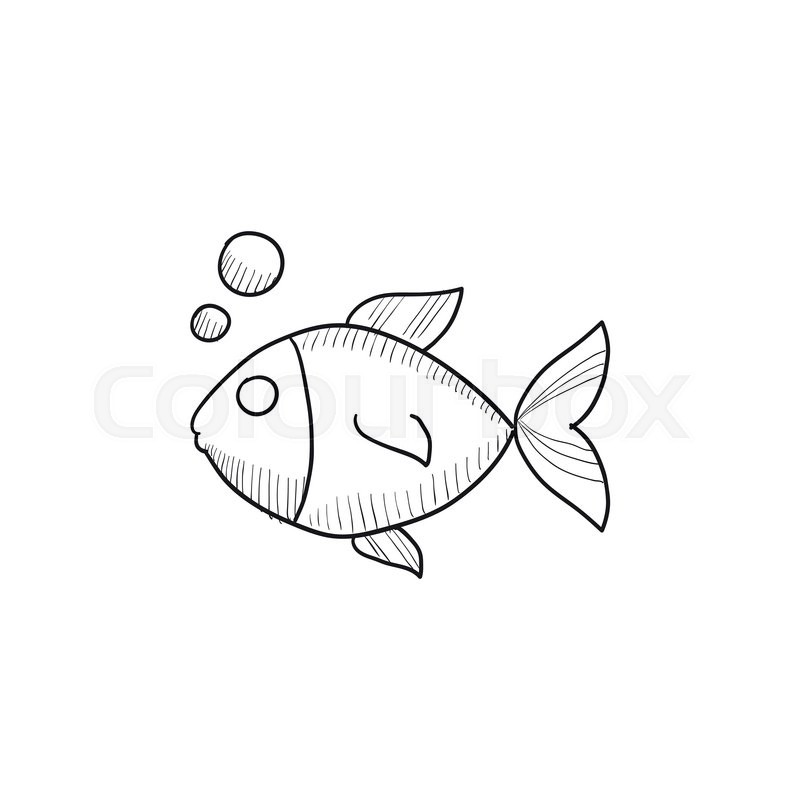800x800 Small Fish Vector Sketch Icon Isolated Stock Vector Colourbox - Small Fish Drawing