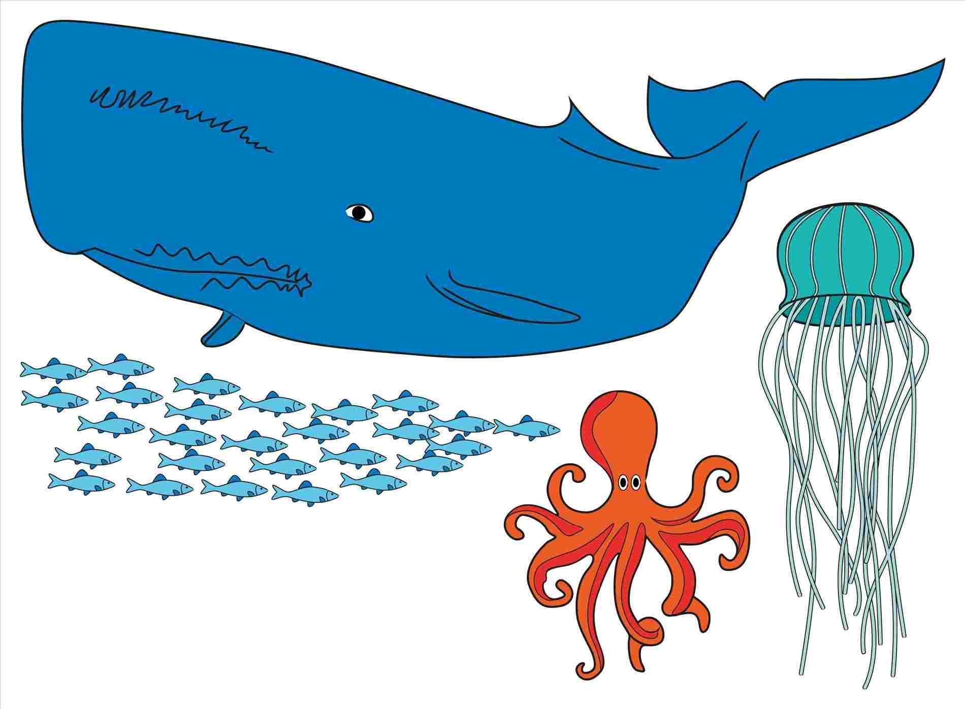 1900x1396 easy small fish drawings pencil christmas pokemon art wmstdc - Small Fish Drawing