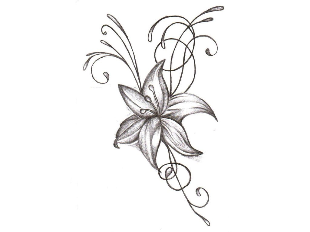 1024x768 Flower Drawing Easy Small Best Flower Site - Small Flower Drawings