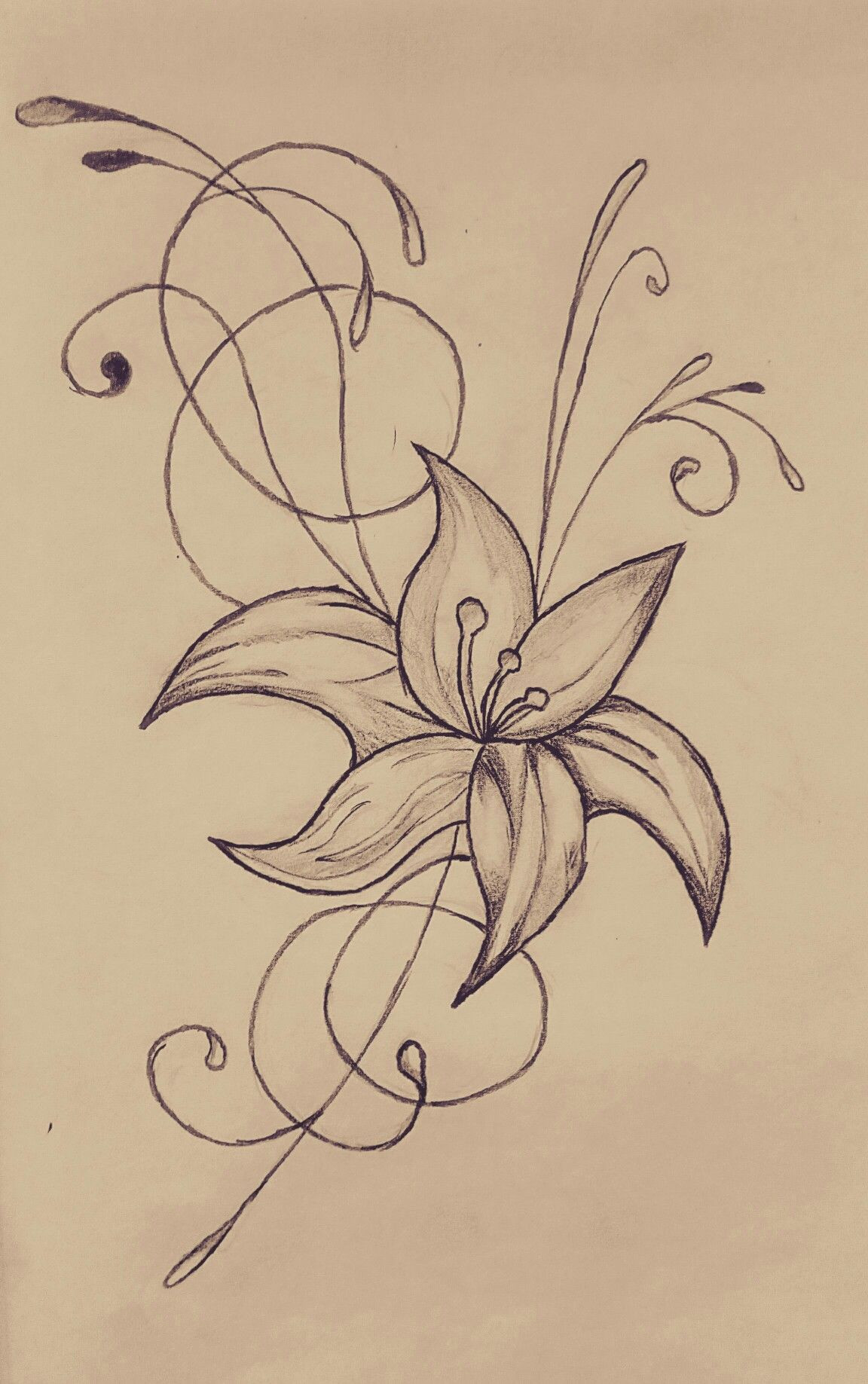 1152x1837 Lily Sketch Drawing Inspirational Small Flower My Drawings Stock - Small Flower Drawings