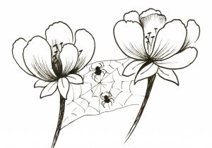 300x210 Small Flower Drawing Small Flower Drawings Pictures Drawing Small - Small Flower Drawings