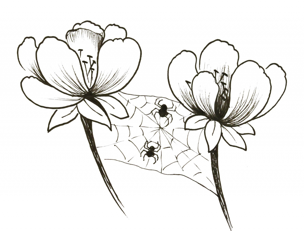 Рисунок любого цветка