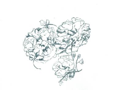 375x294 Small Flowers Drawings For Sale Saatchi Art - Small Flower Drawings