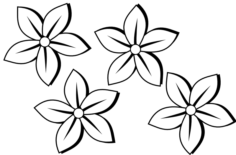 800x527 Drawing Photos Flower Transparent Png Clipart Free Download - Small Flower Drawings