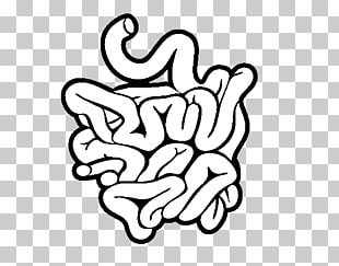 310x243 page small intestine png cliparts for free download uihere - Small Intestine Drawing