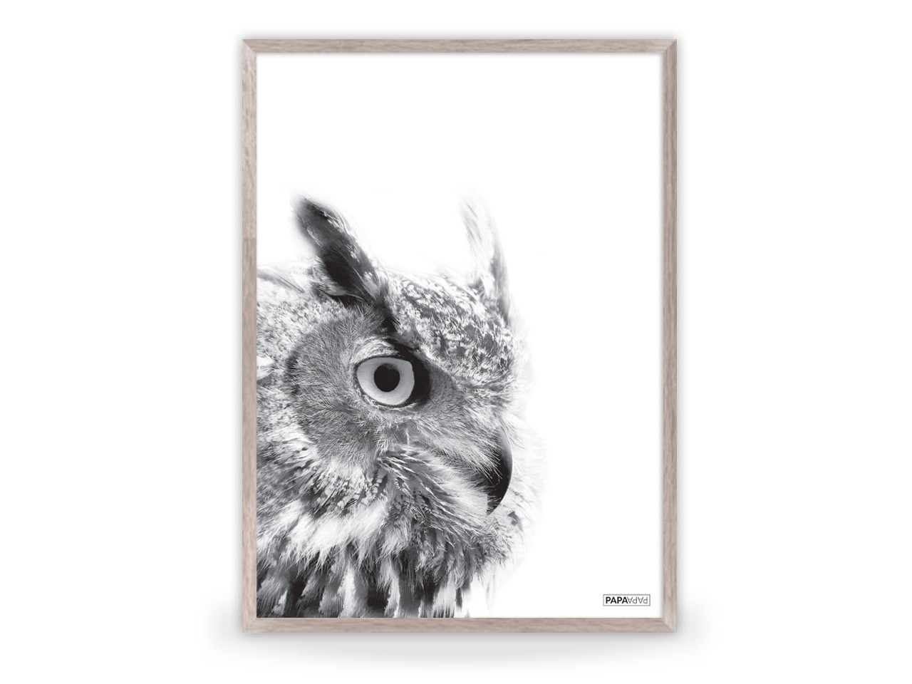 1280x960 Poster Small Owl - Small Owl Drawing