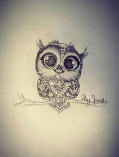 Small Owl Drawing At Paintingvalley Com Explore Collection Of