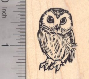 295x261 Small Owl Rubber Stamp - Small Owl Drawing