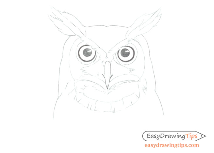 728x520 How To Draw An Owl's Face Head Step - Small Owl Drawing