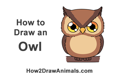 500x315 How To Draw An Owl - Small Owl Drawing