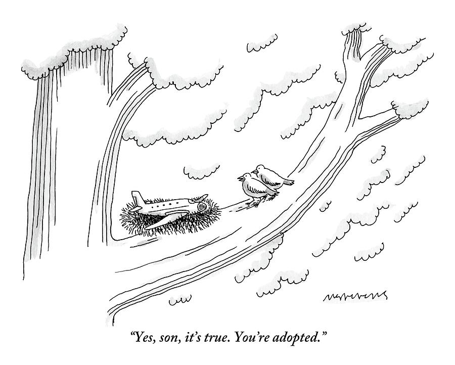 900x722 two birds on a tree branch speak to a small plane drawing - Small Plane Drawing