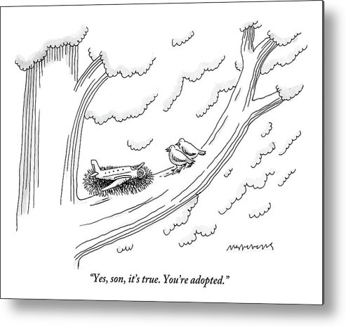 493x465 two birds on a tree branch speak to a small plane metal print - Small Plane Drawing
