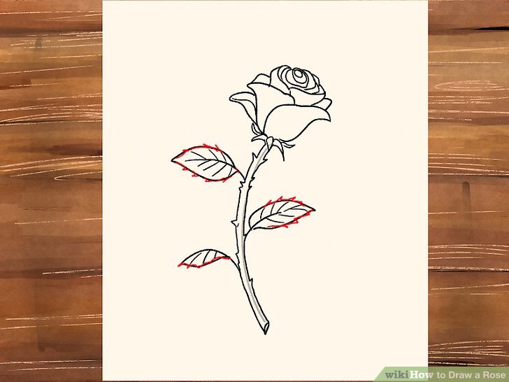 Small Rose Drawing