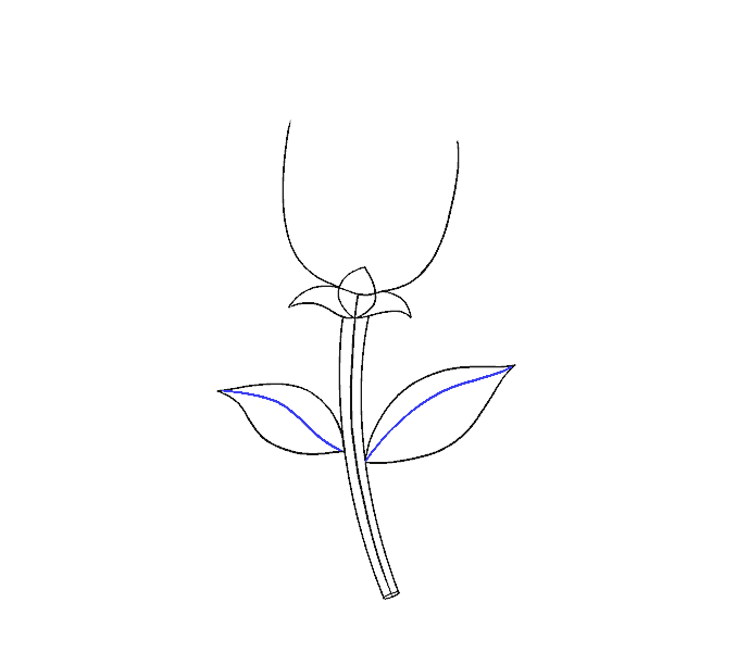 678x600 How To Draw A Simple Rose Easy Drawing Guides - Small Rose Drawing