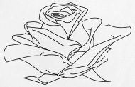 190x122 rose drawing small buttons spreadshirt - Small Rose Drawing