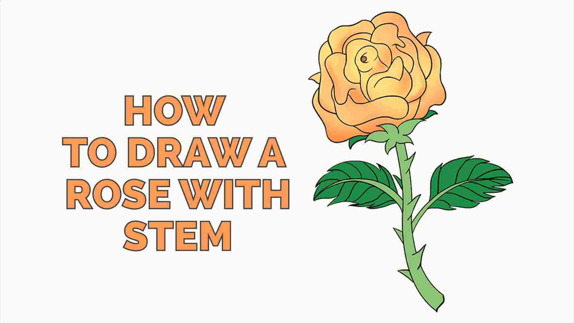 1899x1068 Small Rose Drawing - Small Rose Drawing