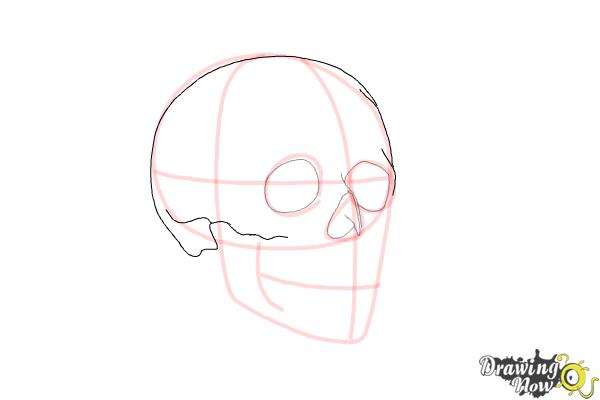 600x400 How To Draw A Skull Step - Small Skull Drawing