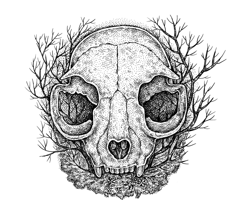 859x734 oldies eugenia hauss - Small Skull Drawing