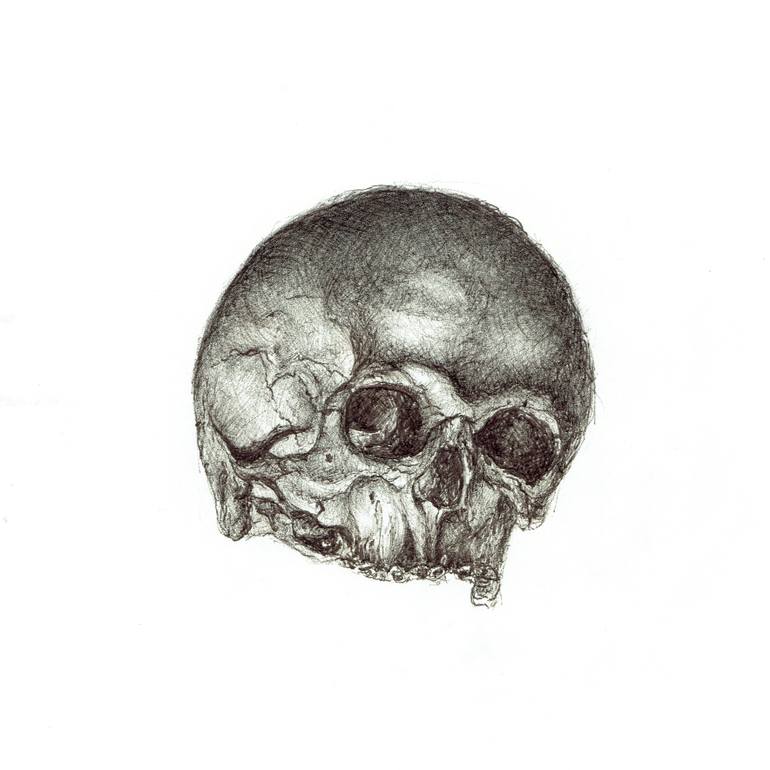770x770 realist biro small skull still life momento mori drawing drawing - Small Skull Drawing