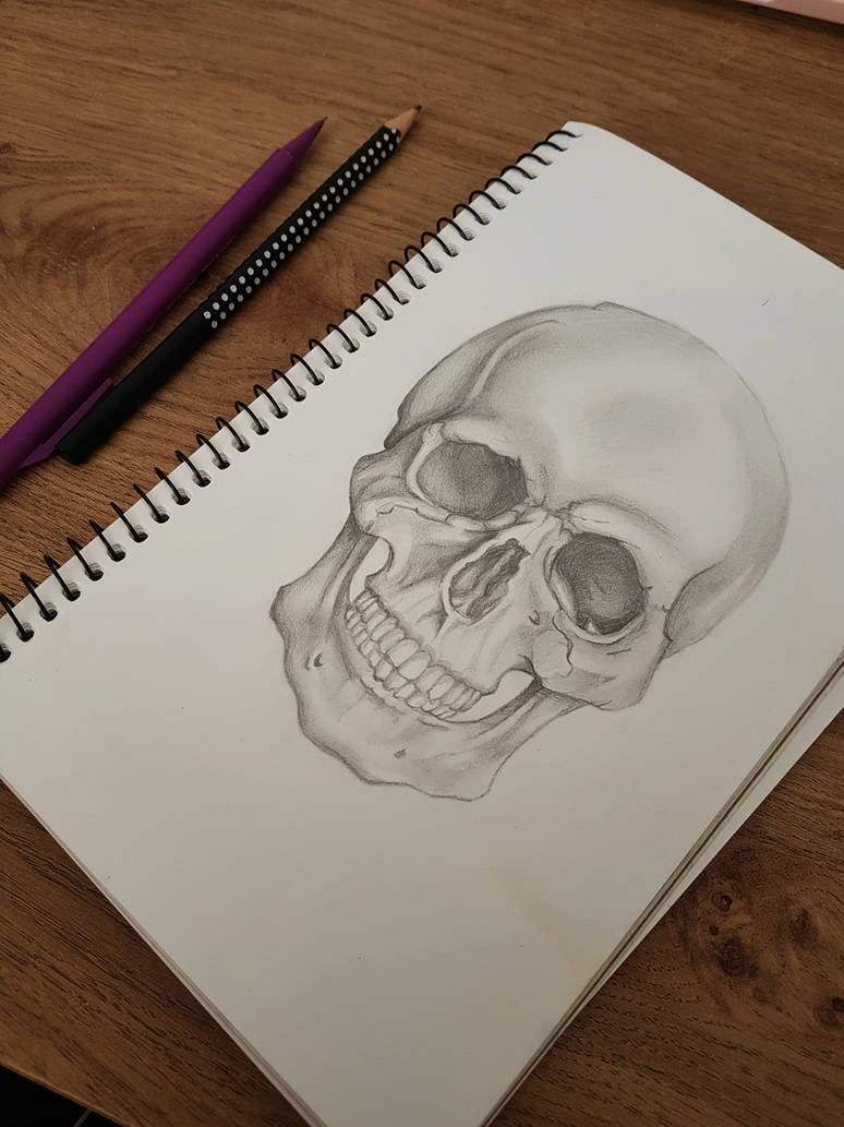 774x1033 Small Skull Pencil Drawing - Small Skull Drawing
