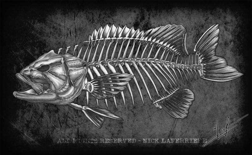 810x498 i thought that smallmouth bass fanatics needed a new spin on bass - Smallmouth Bass Drawing