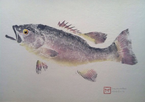 Smallmouth Bass Drawing at PaintingValley.com | Explore collection of ...