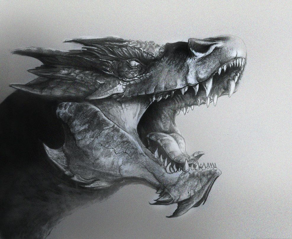 987x809 smaug drawing free download - Smaug Dragon Drawing