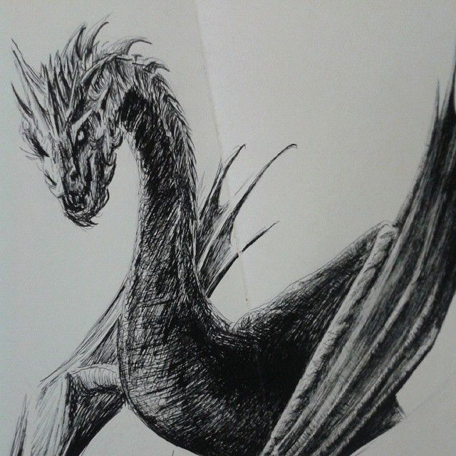 Smaug Dragon Drawing at PaintingValley.com | Explore collection of