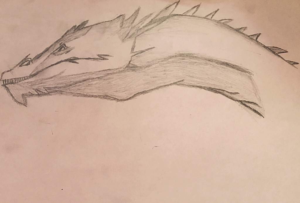 1024x694 Newly Joining Drawing! - Smaug Drawing