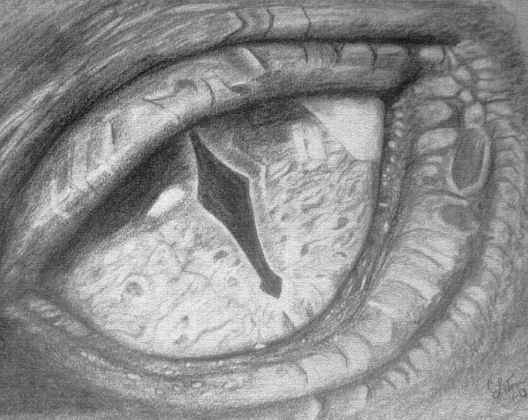 770x612 Smaug Eye Drawing - Smaug Drawing