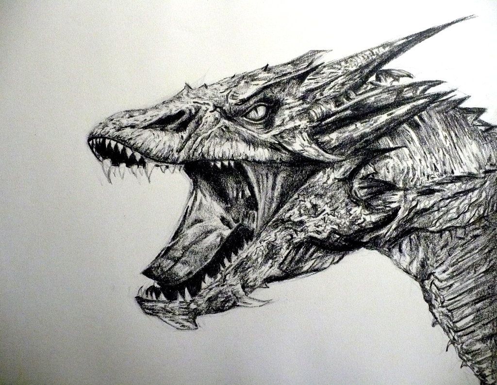 1024x793 Smaug Drawing Free Download - Smaug Drawing