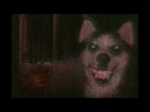 480x360 how to draw smile dog - Smile Dog Drawing