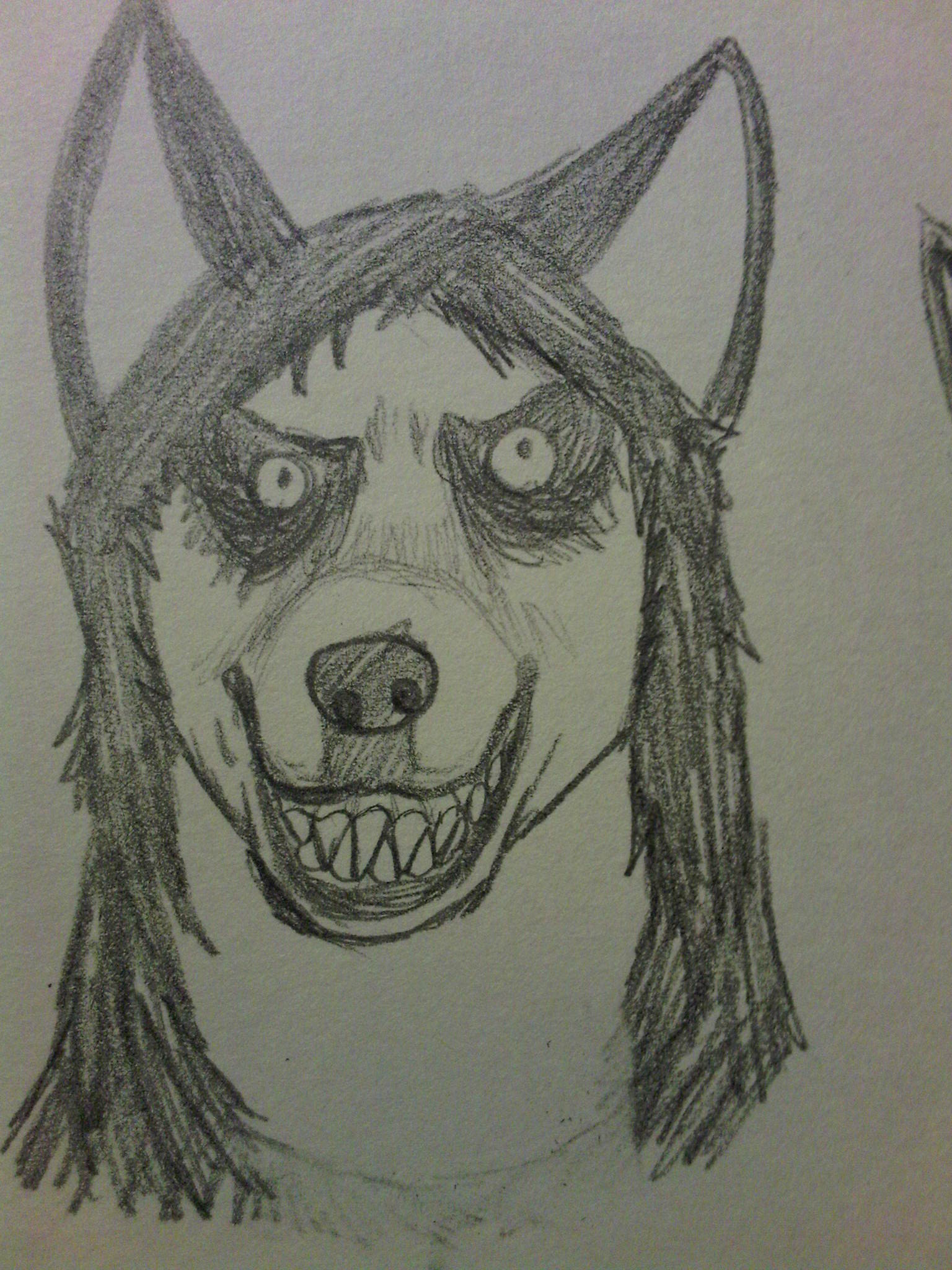 1536x2048 smile dog sketch weasyl - Smile Dog Drawing