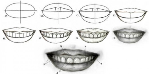 520x260 Portrait Drawing For The Ultimate Beginner The Lips Feltmagnet - Smiling Mouth Drawing