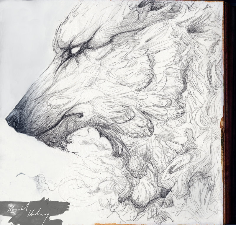 800x762 smoke drawings - Smoke Drawing