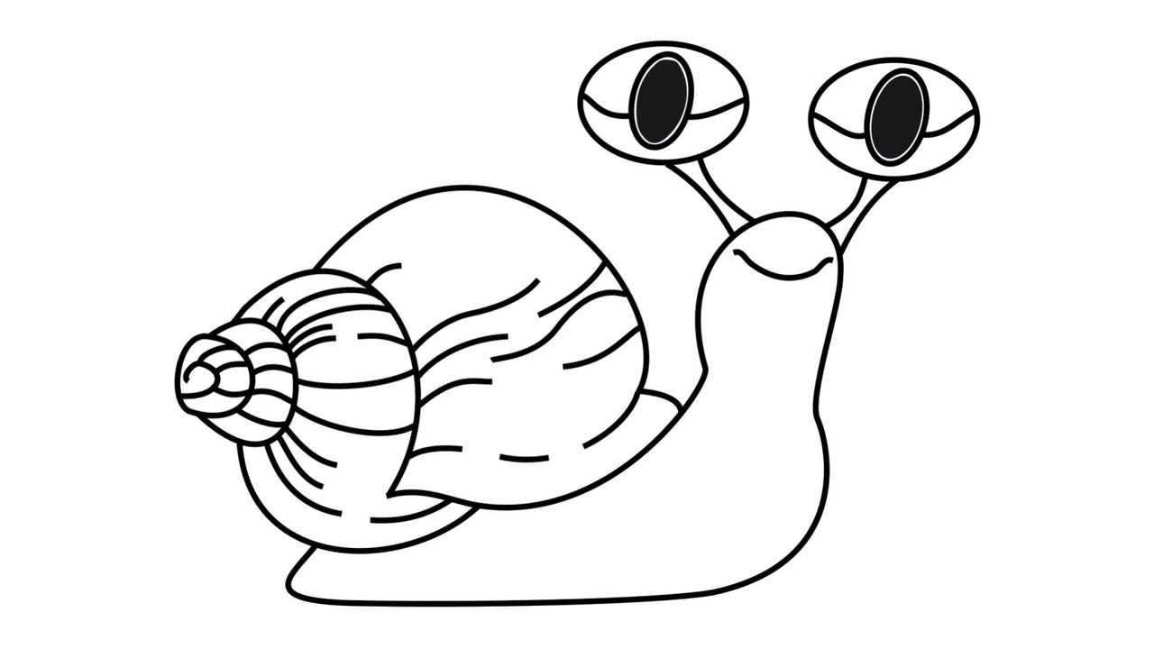 1280x720 How To Draw A Snail - Snail Drawing