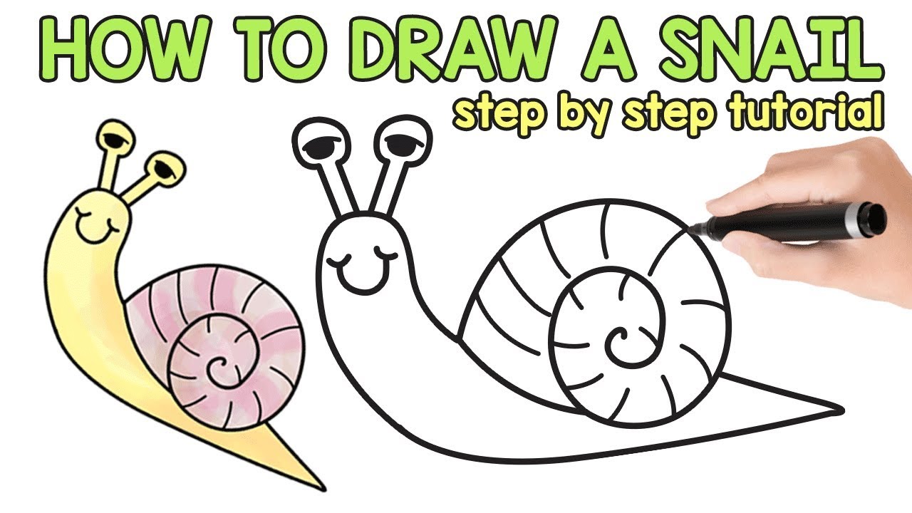 1280x720 Learn How To Draw A Snail - Snail Drawing