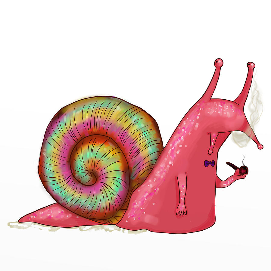 900x900 Weed Snail Drawing - Snail Drawing