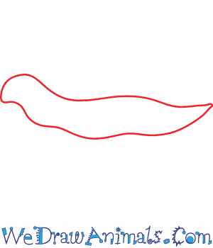 300x350 How To Draw A Snail - Snail Line Drawing