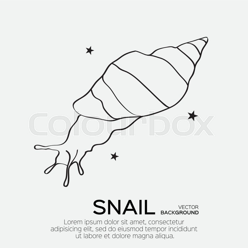 800x800 Monochrome Silhouette Of Snail Drawing Stock Vector Colourbox - Snail Line Drawing