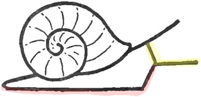 400x194 How To Draw Snails With Simple Step - Snail Shell Drawing
