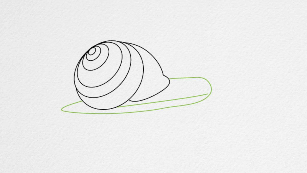 1280x720 How To Draw A Snail Step - Snail Shell Drawing