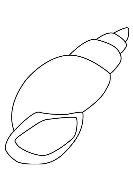 531x750 Coloring - Snail Shell Drawing