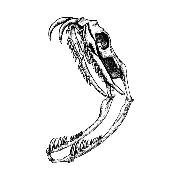snake skull sketch