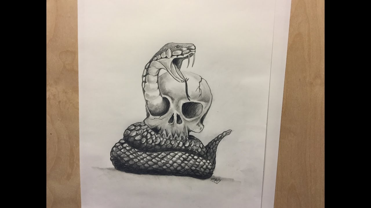 1280x720 how to draw a snake and skull, snake and skull tattoo - Snake And Skull Drawing