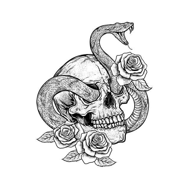 Snake And Skull Drawing at PaintingValley.com | Explore collection of ...