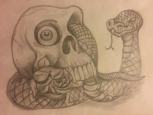 300x225 Snake Skull Drawings Fine Art America - Snake And Skull Drawing